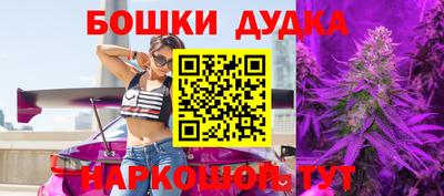 шишки Апшеронск