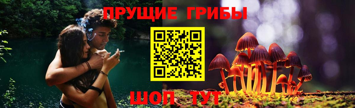 Бузулук  Галлюциногенные грибы ЛСД  Вход с VPN 